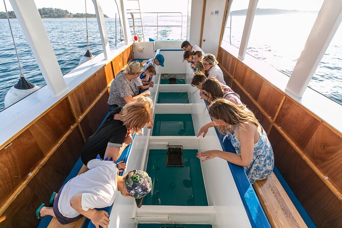 Glass boat tour Fažana with swimming stop - The glass-bottom view near Brijuni National Park