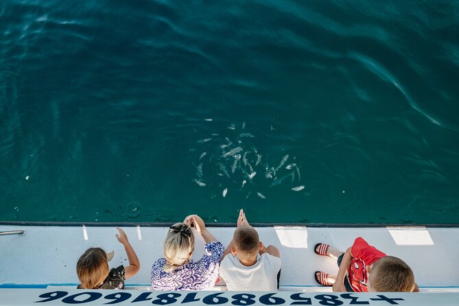 Glass boat tour Fažana with swimming stop - What the $35.80 price really buys
