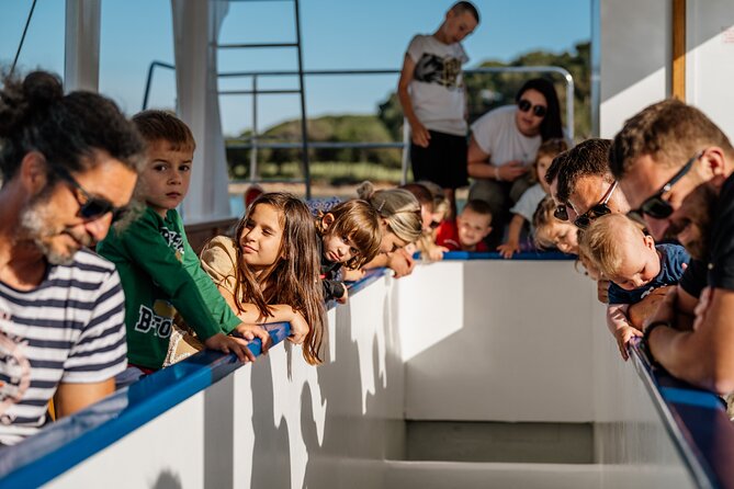 Glass boat tour Fažana with swimming stop - The crew, commentary, and group feel