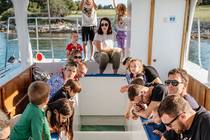 Glass boat tour Fažana with swimming stop - St. Jerolim: two hours for swimming and island time