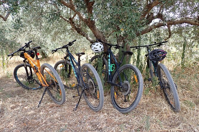 Half-Day Bike Tour in Lumbarda with Wine Tasting - A Sandy Beach Swim Before Returning