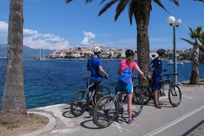 Half-Day Bike Tour in Lumbarda with Wine Tasting - Who Will Enjoy This Korčula Bike Tour?