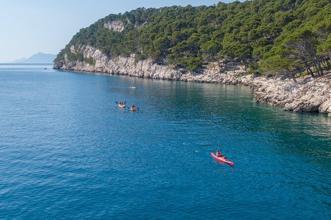 Half-Day Small-Group Kayaking Tour in Makarska - The guide, equipment, and group size