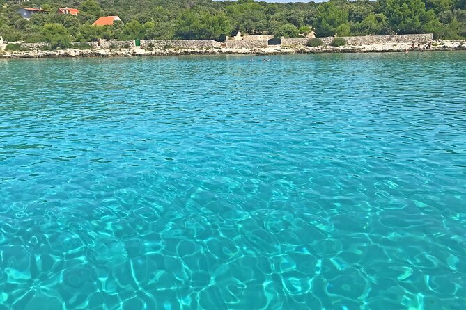 Half Day Speedboat Tour to Three Islands from Trogir - Morning or afternoon: which departure should you choose?