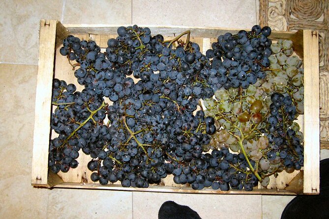 Half Day Tour - Deep and Dark Red Wine of Pelješac - Why the private format matters