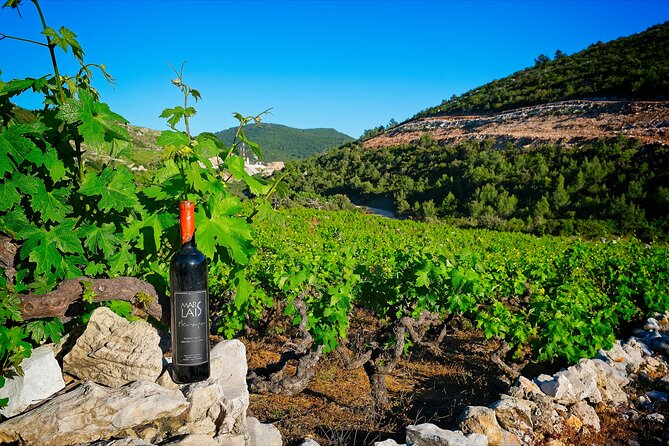 Half Day Tour - Deep and Dark Red Wine of Pelješac - Is $177.52 a fair price?