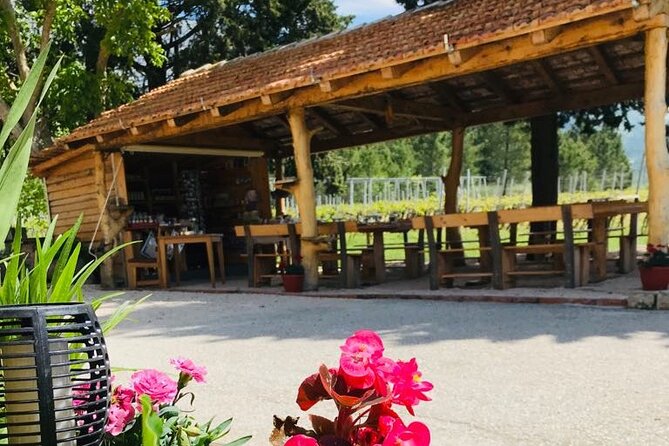 Half-Day Wine and Food Tasting from Dubrovnik - The Konavle plate is more than a snack