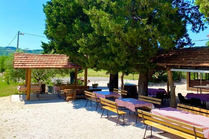 Half-Day Wine and Food Tasting from Dubrovnik - Group size, guides, and the social side