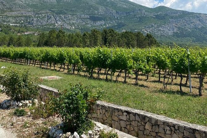 Half-Day Wine and Food Tasting from Dubrovnik - How the $120.94 price holds up