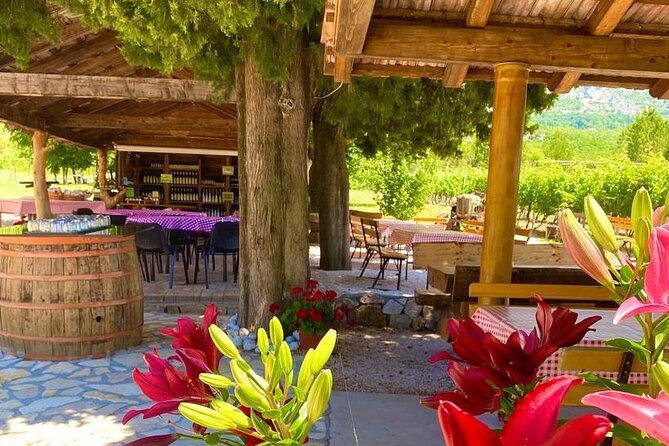 Half-Day Wine and Food Tasting from Dubrovnik - Four Croatian wines with a local touch