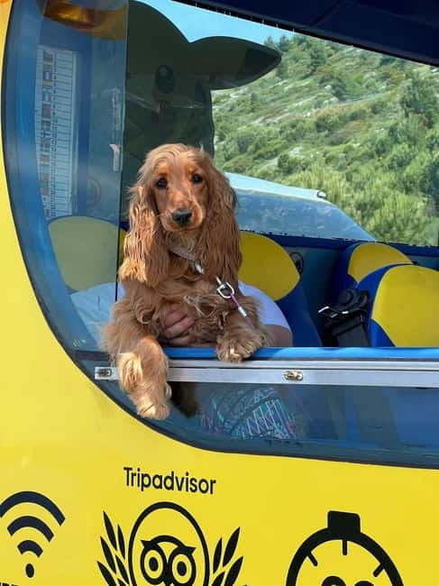 Hop-On Hop-Off Yellow Cabrio Tour: See Dubrovnik in 90mins - Booking, cancellation, and practical details