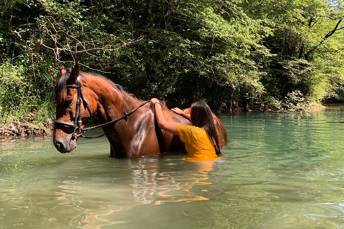 Horseback Riding Across River Ljuta with transport - Transport, timing, and the booking details that matter