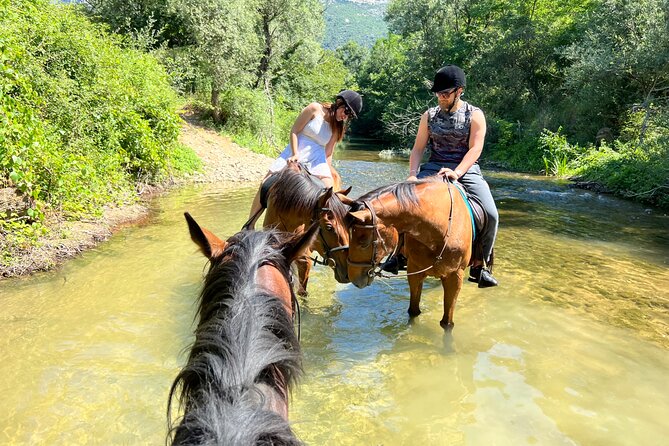 Horseback Riding Across River Ljuta with transport - Who should book this experience?