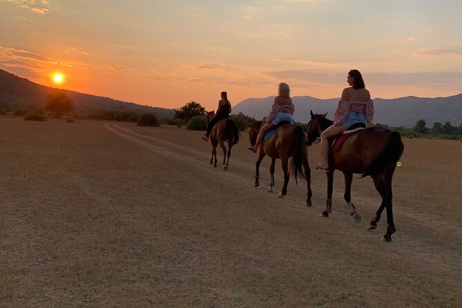 Horseback Riding Across River Ljuta with transport - The 2-hour-30-minute trail ride