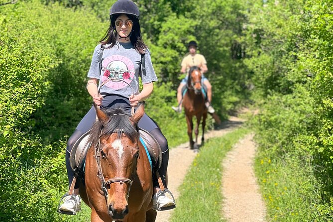 Horseback Riding Experience with transport from Dubrovnik - Views of Vineyards and Snježnica Mountain