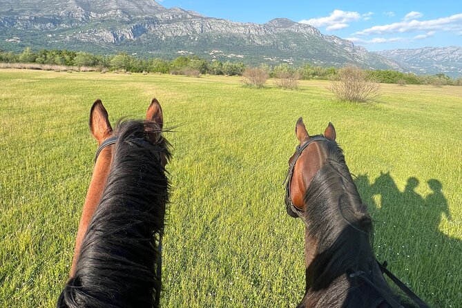 Horseback Riding Experience with transport from Dubrovnik - Local Food and Homemade Drinks Afterward