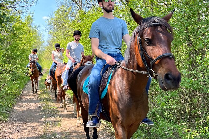 Horseback Riding Experience with transport from Dubrovnik - How the Experience Handles Beginners
