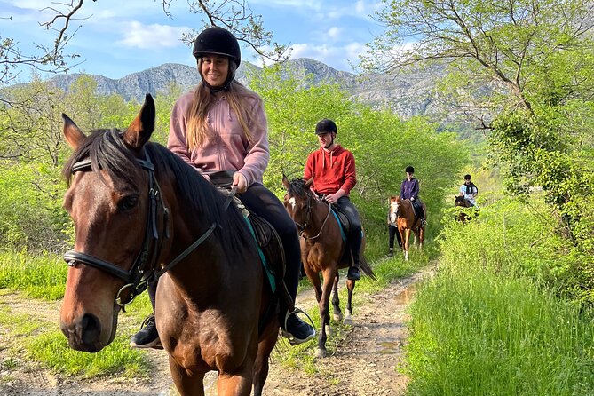 Horseback Riding Experience with transport from Dubrovnik - A Gentle 60-Minute Ride Through Konavle