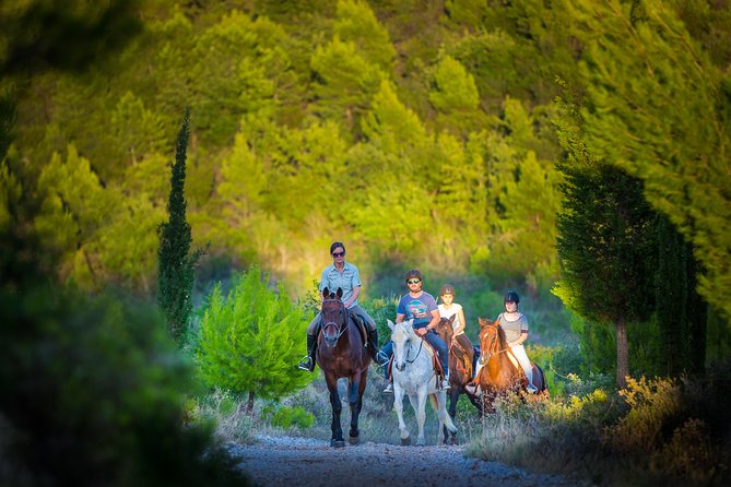 Horseback Riding in Konavle Region with Transport from Dubrovnik - Two hours through woods, cliffs, and Konavle