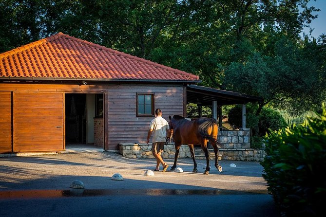 Horseback Riding in Konavle Region with Transport from Dubrovnik - Popovići and the quieter side of Croatia