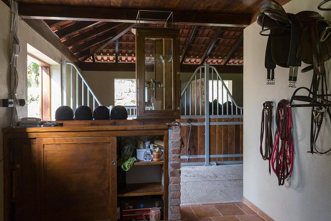 Horseback Riding in Konavle Region with Transport from Dubrovnik - A simple welcome back: sandwiches, snacks, and wine