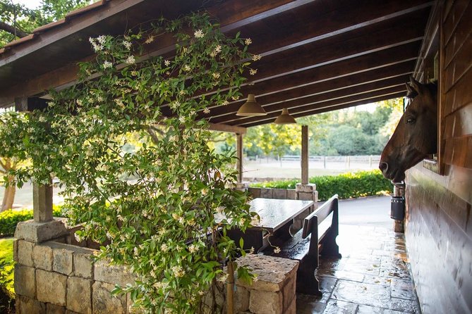 Horseback Riding in Konavle Region with Transport from Dubrovnik - Why the small group matters