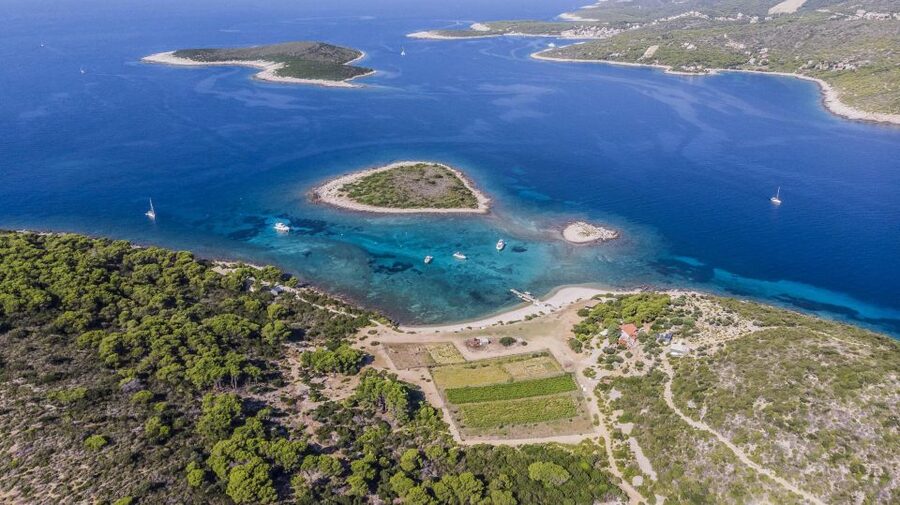 Hvar: Blue and Green Caves Boat Tour with Stiniva Beach - Green Cave and its shifting light
