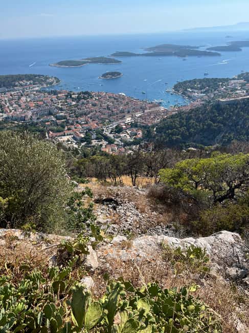 Hvar: Hvar Wine Tasting Experience - Lavender fields, abandoned villages, and island agriculture