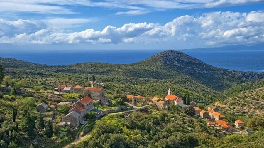 Hvar: Island tour with Wine and Olive Oil Tasting - From Hvar Town to Napoleon’s Fortress