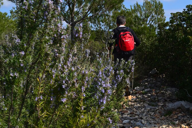 Hvar Lavender Tour - Key points to know before you book
