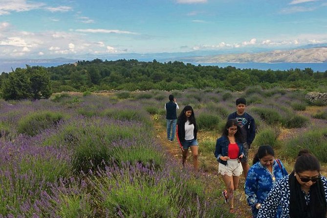 Hvar Lavender Tour - Walking from Vidikovac toward Milna