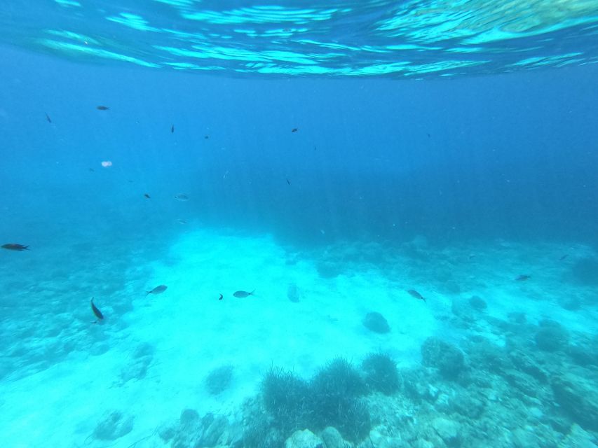 Hvar: Private Sailing Boat Trip with Swimming and Snorkeling - What the boat is like for a half-day or full day