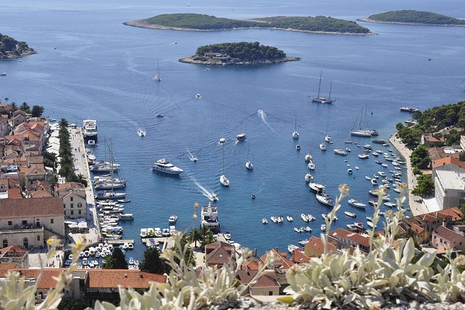 Hvar Private Walking Tour With A Professional Guide - St. Stephen’s Cathedral and the town square