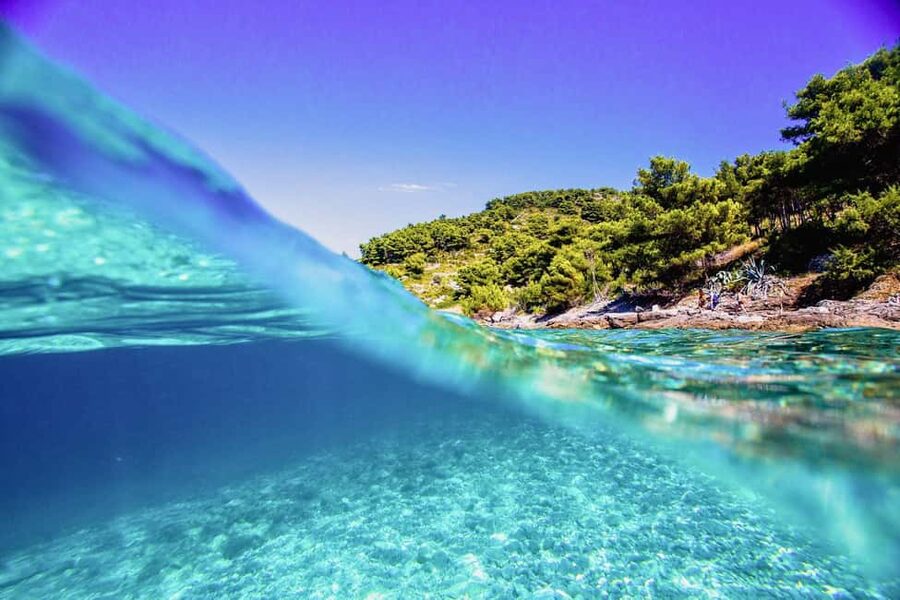 Hvar Tour from Split - Full Day Tour - What the $176 price really buys you