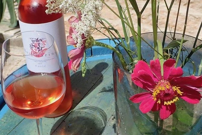 Hvar Wine tasting small group experience - The guides are a major part of the value