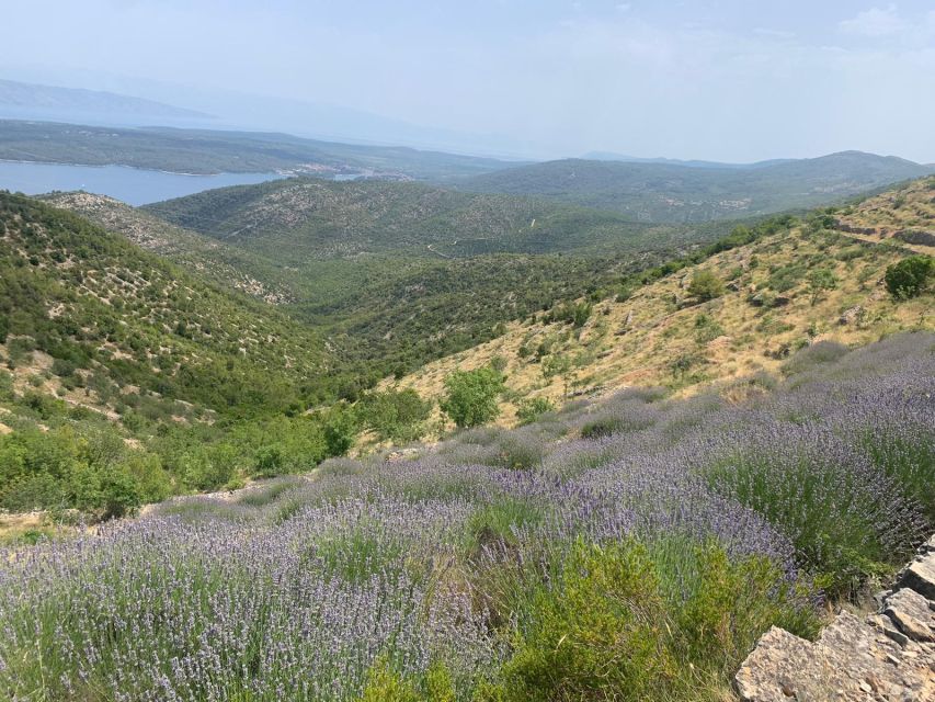 Hvar Wine Tour + Dalmatian Dinner - Is the $276 price fair?