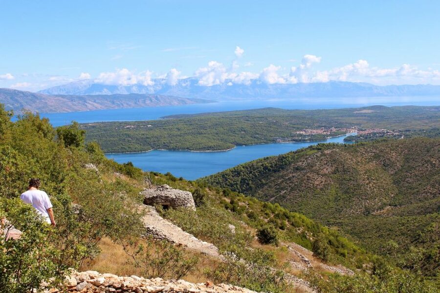 Hvar Wine Tour + Dalmatian Dinner - Booking flexibility and cancellation