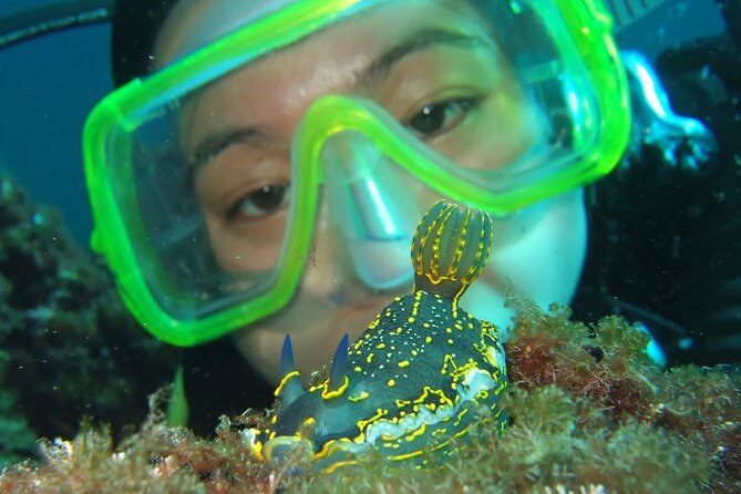 Intro Dive in Dubrovnik - What happens during the 2-hour-30-minute session