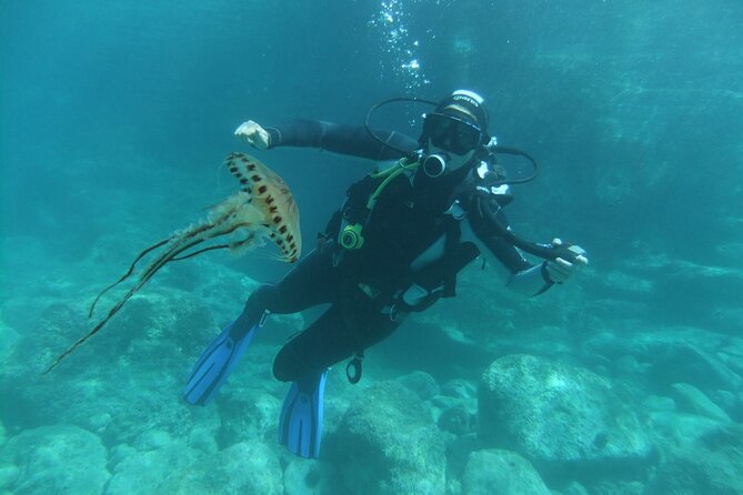 Intro Dive in Dubrovnik - A 6-meter first look beneath Dubrovnik