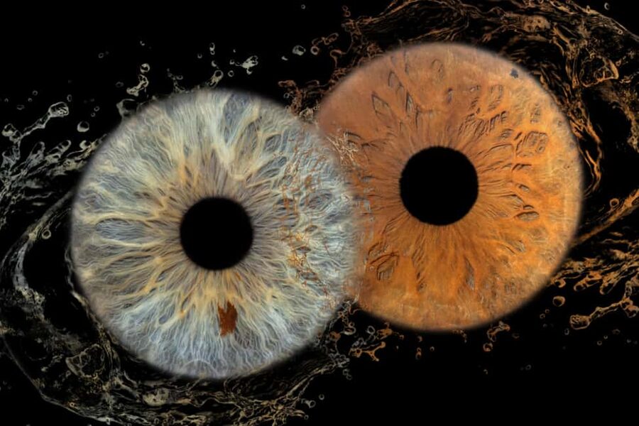 IRIS Photography (macro photo of your eye) - What an iris photo in Split actually captures