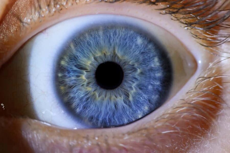 IRIS Photography (macro photo of your eye) - How the $68 price measures up