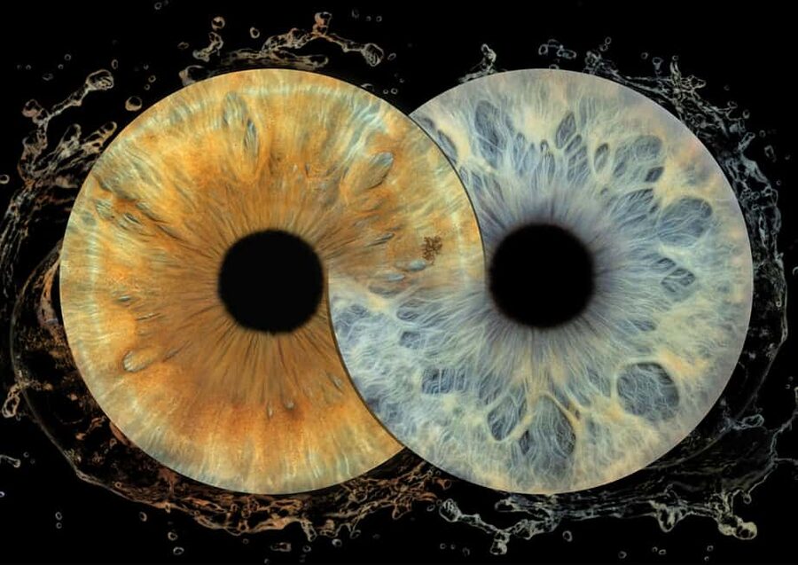 IRIS Photography (macro photo of your eye) - Finding the studio at Kralja Zvonimira 7