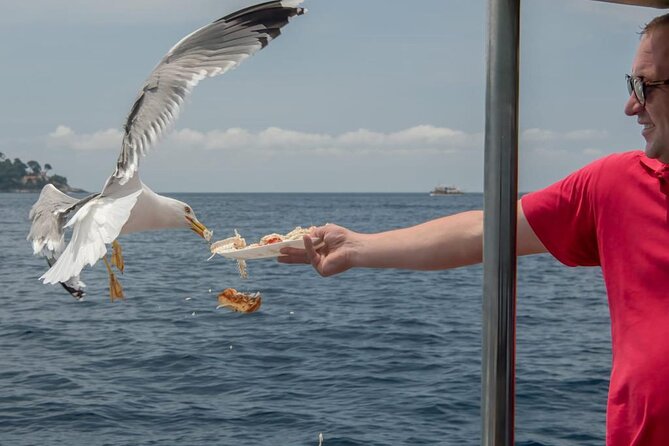 Island Hopping & City Walls Cruise with Food and Open Bar - Lopud is the main event, but plan Šunj carefully