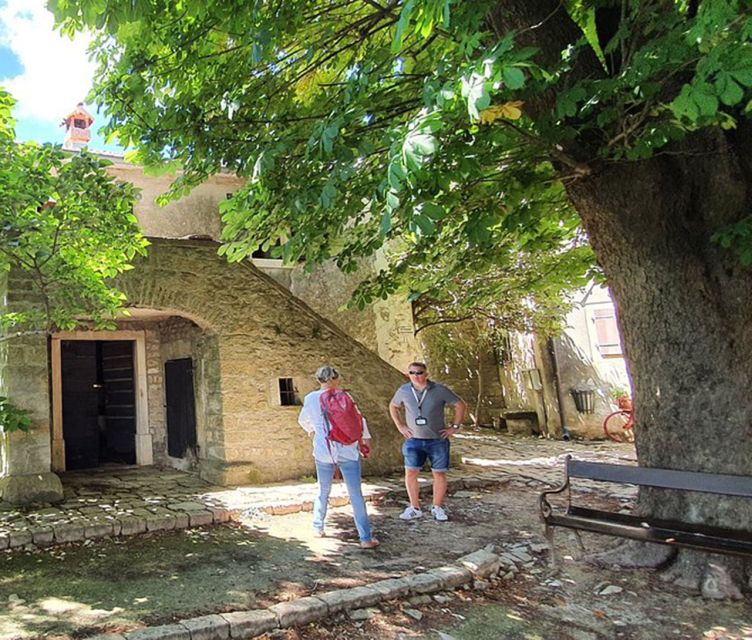 Istria: Guided Tour of Inner Istria with Food Tasting - Motovun combines walls, views, and truffles