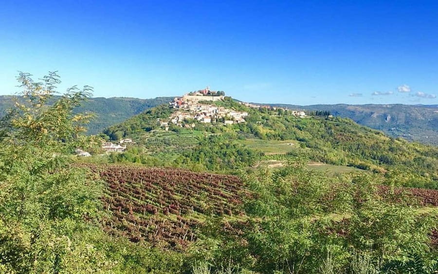 Istria: Guided Tour of Inner Istria with Food Tasting - Who will get the most from this tour