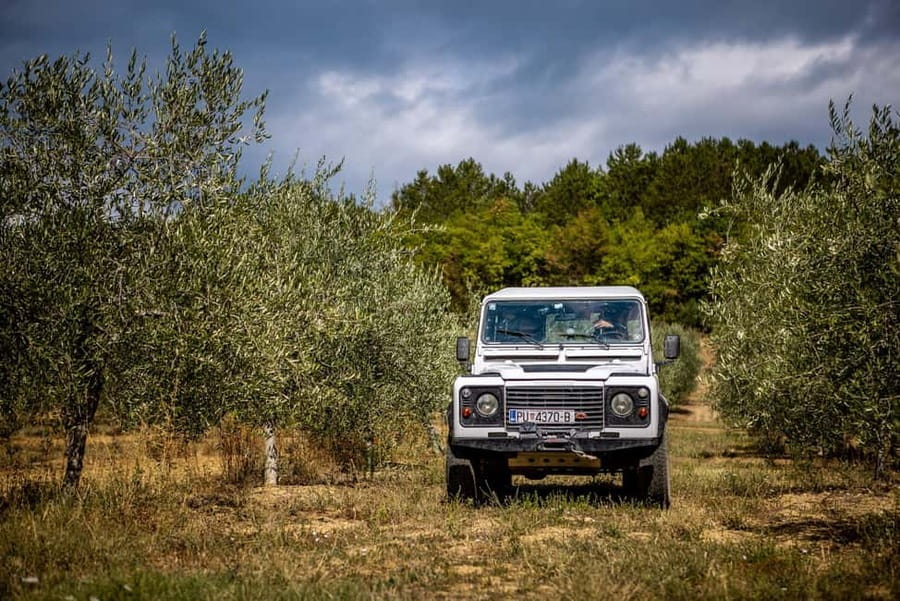 Istria: Land Rover Off-Road Adventure with Tastings - The optional zipline near Pazin