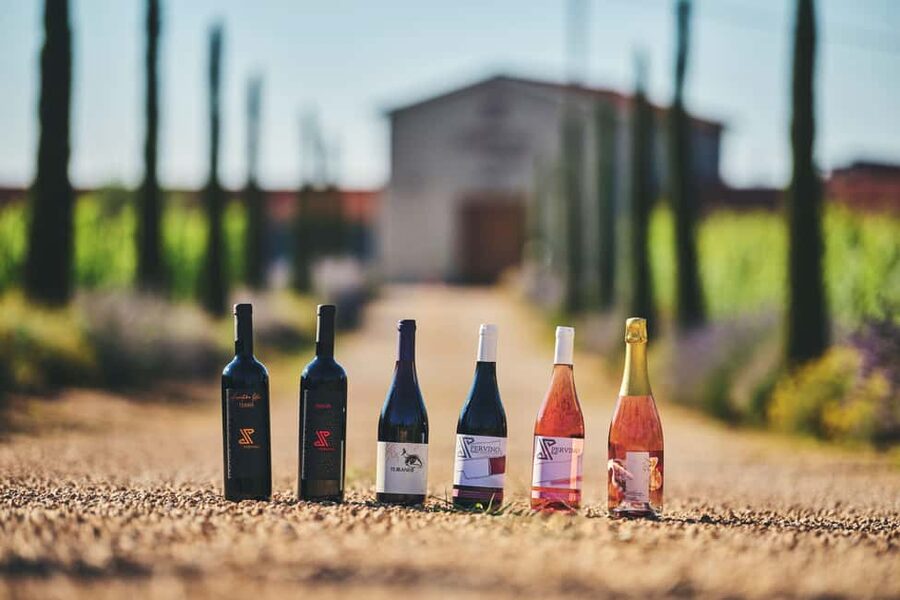 Istria: Pervino wine tasting - Key points at a glance