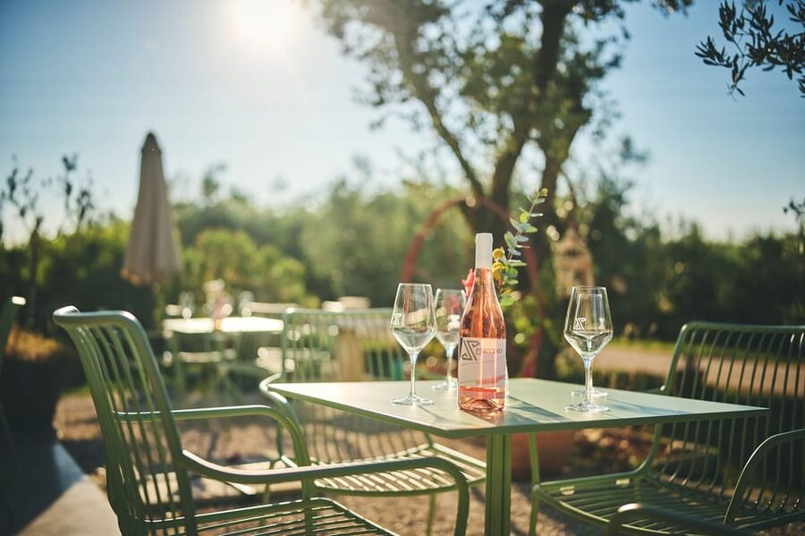 Istria: Pervino wine tasting - The charcuterie board and Pervino olive oil