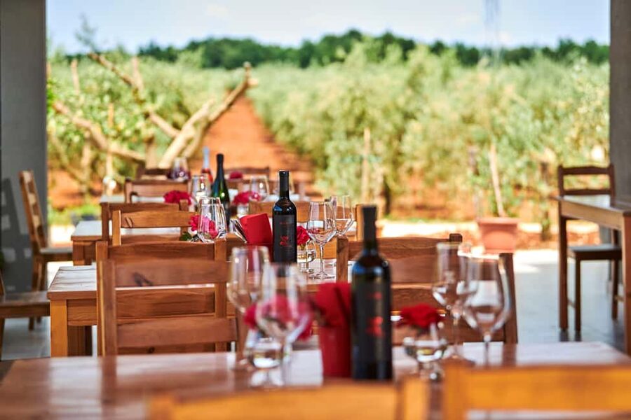 Istria: Pervino wine tasting - Arriving at the family-run winery in Novigrad