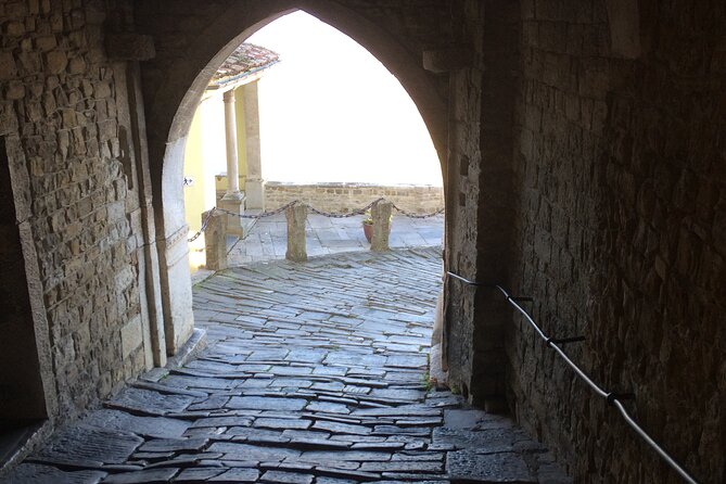 Istria Private Day Trip - Hilltop villages and Venetian details